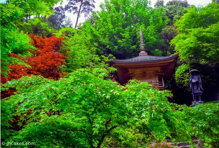 京都２